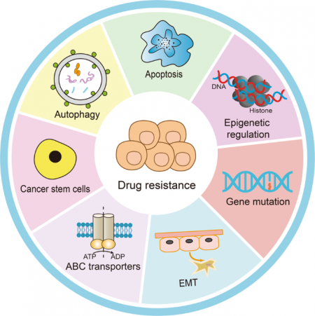 NAD+ and Epigenetic Regulation: Implications in Health and Disease ...