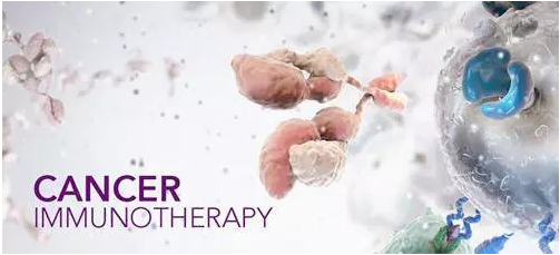 nk cell immunotherapy